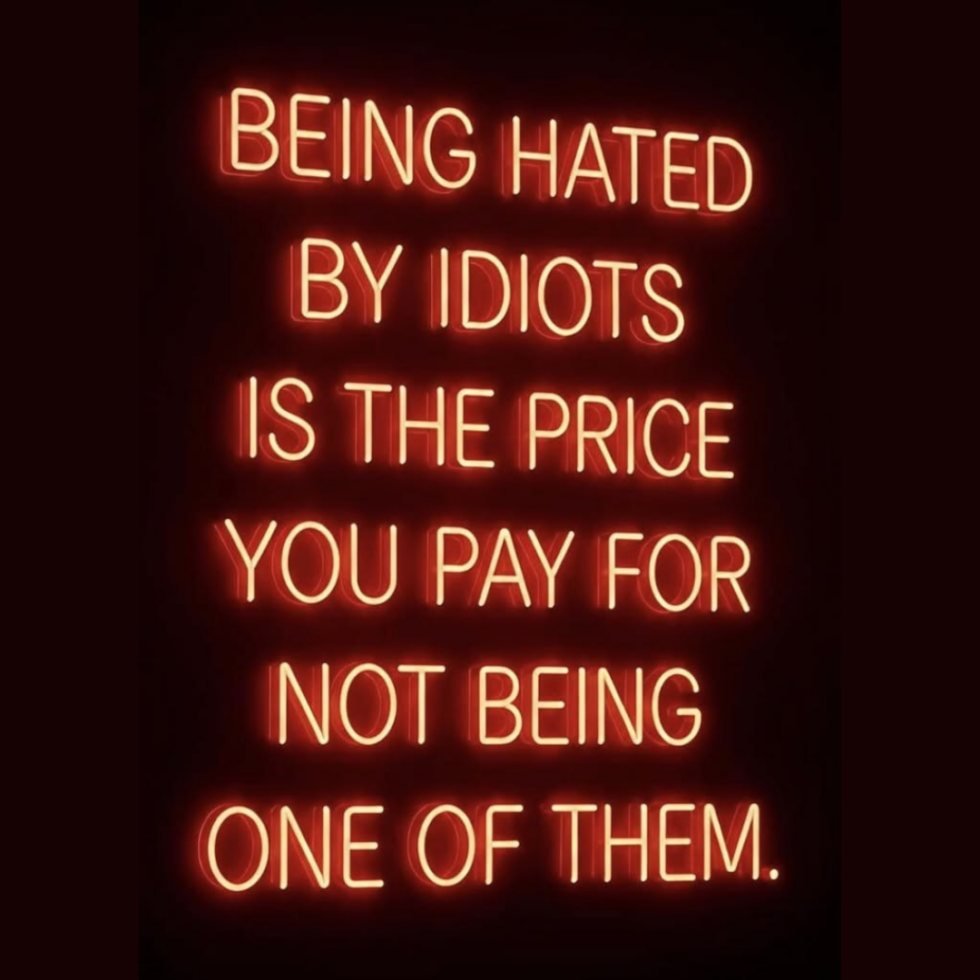 Néon : Being hated by idiots is the price you pay for not being one of them